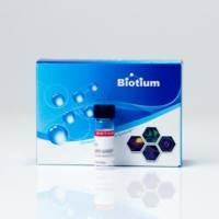 BIOTIN-X CADAVERINE, FREE BASE FORM 90080