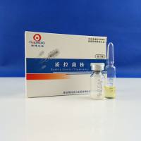 蜡样芽孢杆菌ATCC11778