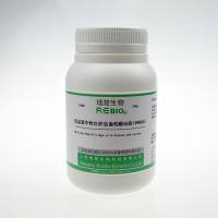 结晶紫中性红胆盐葡萄糖琼脂(VRBGA)