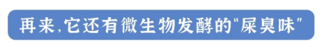 这个洞男女都不能乱抠，抠完要命！