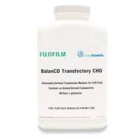 CHO细胞瞬转培养基