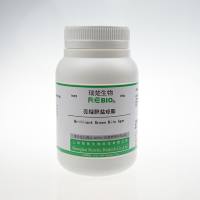 亮绿胆盐琼脂