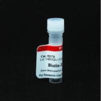 Biotin-XX Tyramide 92176