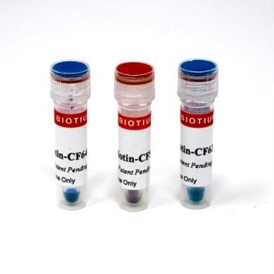 Biotin-CF568 80029