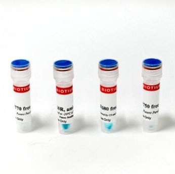 CF790 游离酸 92159