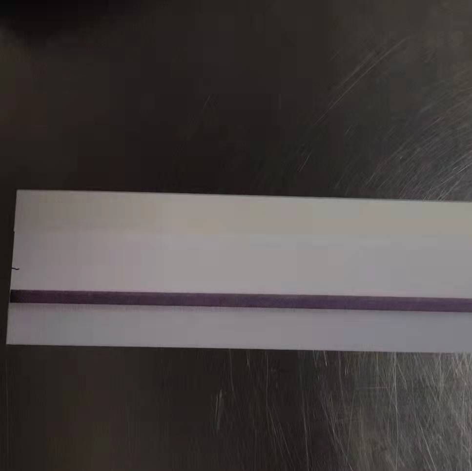 动物专用犬瘟热抗体快速检测大板