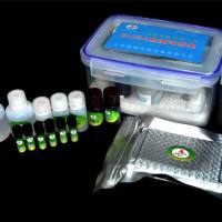 生物素-亲和素体系配对抗体通用试剂盒（ELISA）