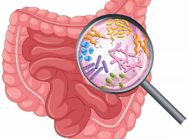 论述食品中微生物菌种的危害（—）