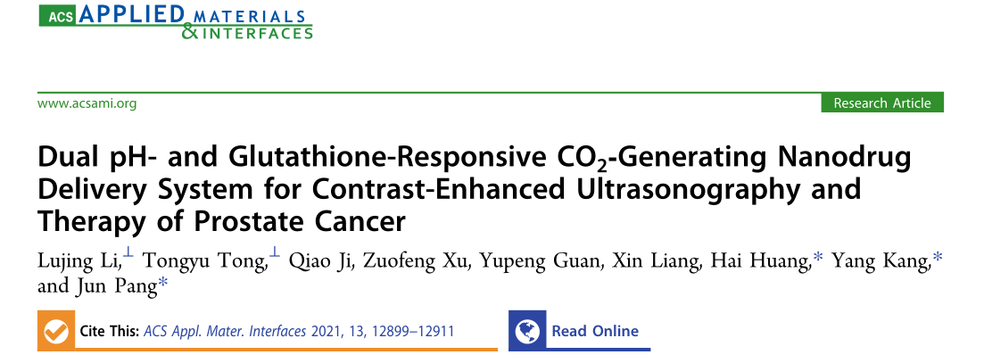 文献速递|动物活体成像系统在载药纳米超声造影剂研制中的应用