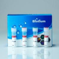 Concanavalin A (Con A) CF®750 Dye Conjugates 29080