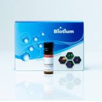 DIHYDROETHIDIUM (ALSO CALLED HYDROETHIDI 10057