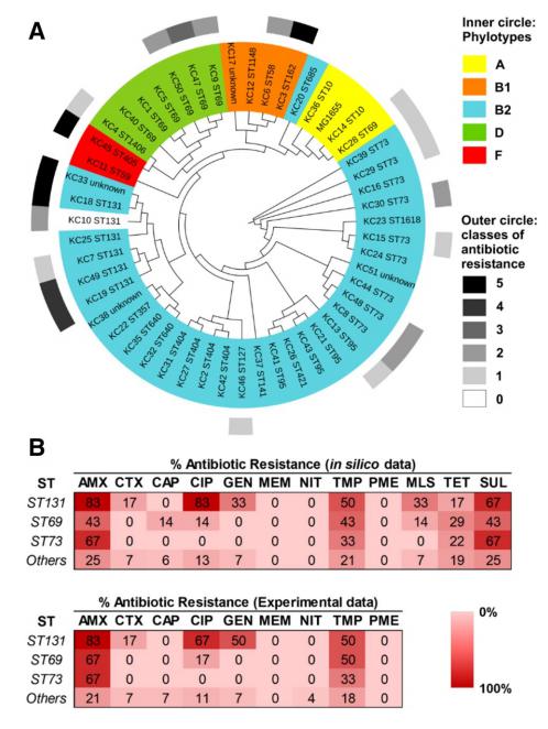 低氧/厌氧产品案例——肠道微生物大肠杆菌研究