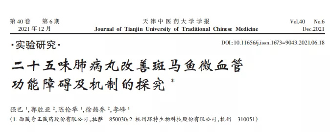 斑马鱼研究丨二十五味肺病丸改善斑马鱼微血管功能障碍及机制的探究丨环特生物