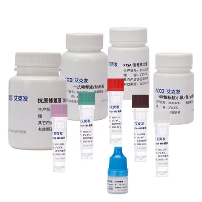 AlphaTSA®6重免疫组化染色试剂盒（25片）