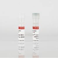 NucSpot® Live 650 Cell Nuclear Stains,10ul 40082-T
