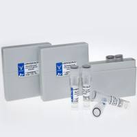 E & M|E & M蛋白|E & M蛋白|E & M Protein Severe acute