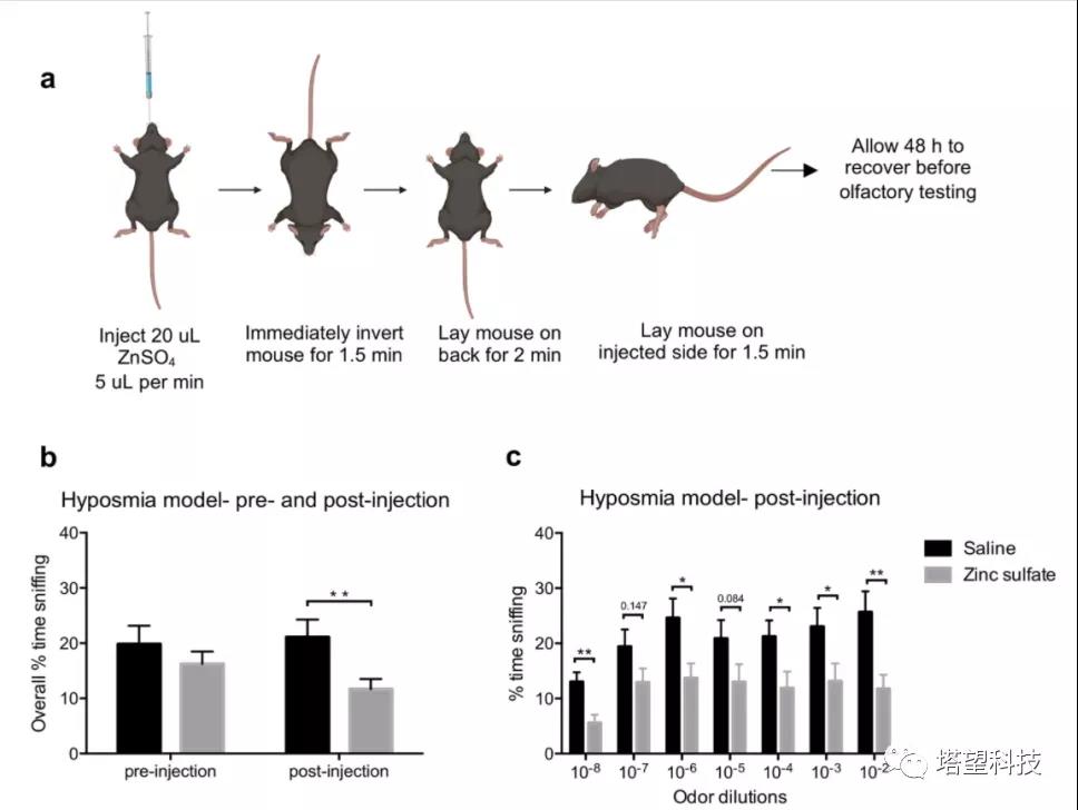 WBP全身体积描记系统在帕金森病研究中的应用