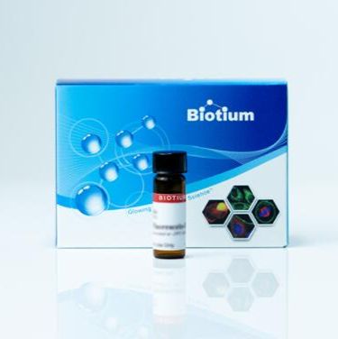 4-Sulforhodamine 101 cadaverine, trifluoroacete salt 90116