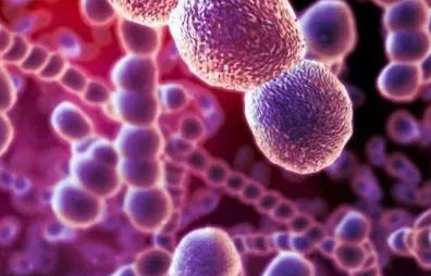 论述食品中微生物菌种的危害（二）