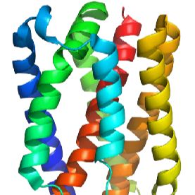 重组蛋白表达与纯化服务