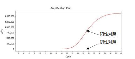 非洲猪瘟病毒（ASFV）核酸检测试剂盒（PCR-荧光探针法）