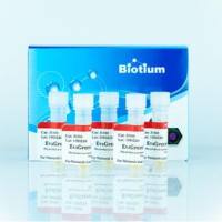 美国Biotium总代理--高灵敏度低抑制性qPCR荧光染料EvaGreen 31000