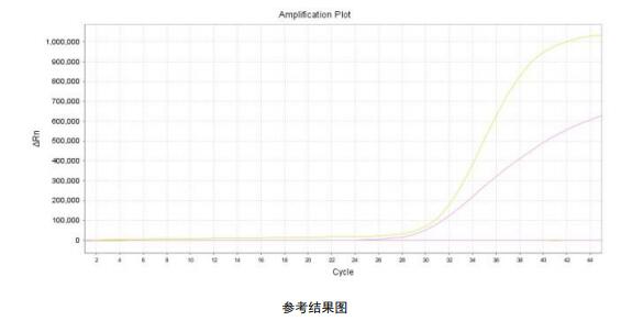 羊源性成分核酸检测试剂盒（PCR-荧光探针法GB标准）