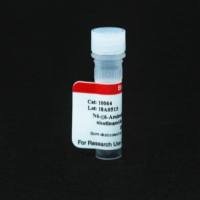 N6-((6-Aminohexyl)carbamoylmethyl)nicotinamide