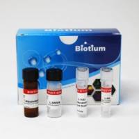 NOS INHIBITOR KIT 00249