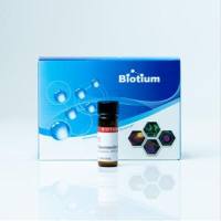 MTT (2,3-BIS-(2-METHOXY-4-NITRO-5-SULFOP 10059