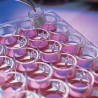 Millipore插入式细胞培养皿PICM0RG50上海睿安生物13611631389