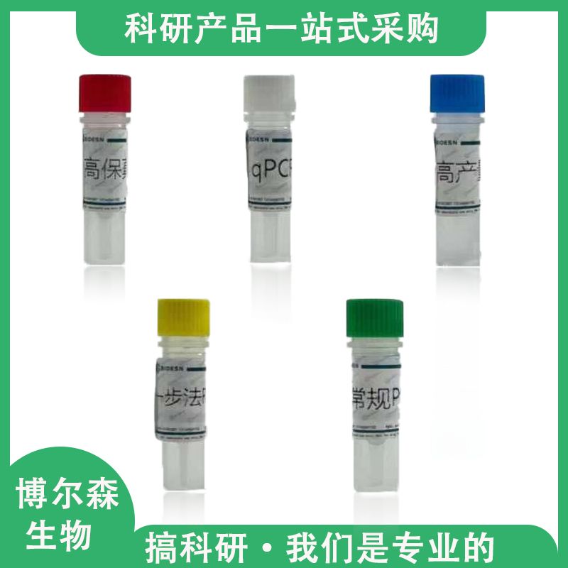 玉米内源基因核酸检测试剂盒（PCR-荧光探针法）