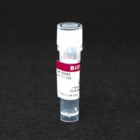 L-NIL (N6-(1-IMINOETHYL)-LYSINE, HYDROCH 00242