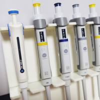 iTRAQ定量蛋白质组