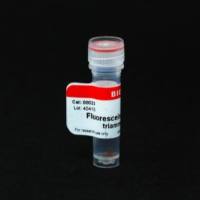 FLUORESCEIN METHOTREXATE, TRIAMMONIUM SA 00023