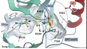 一文看遍激酶抑制剂 20 年发展之路（下）