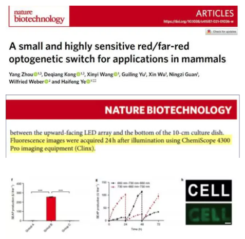 年终盘点|2021那些用勤翔仪器发表过的文献们