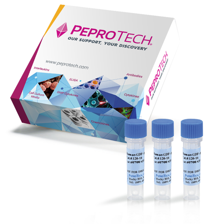 PeproTech重组人HCC-1 (72aa) (CCL14) 100ug