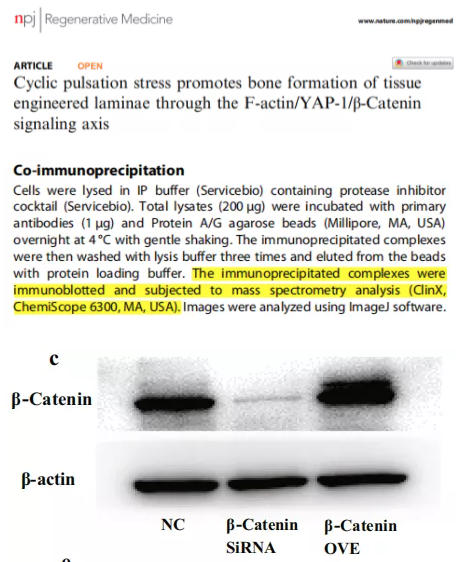 年终盘点|2021那些用勤翔仪器发表过的文献们