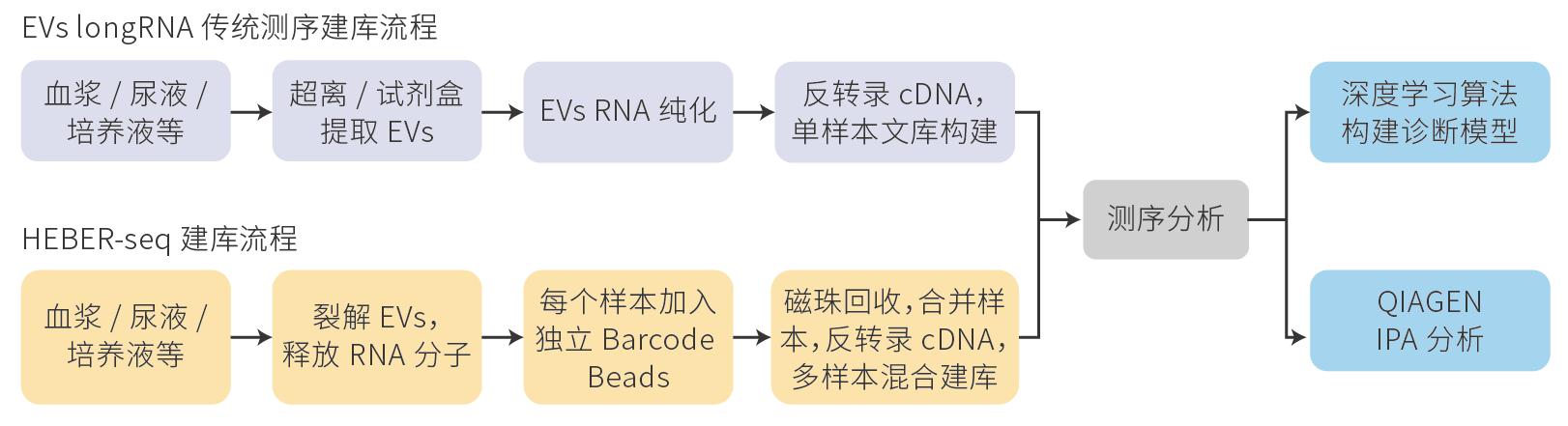 HEBER-seq，开启exRNA液体活检新时代！
