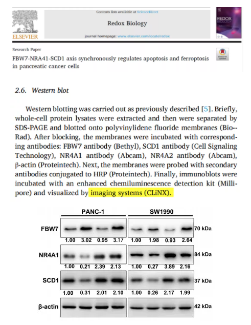 年终盘点|2021那些用勤翔仪器发表过的文献们