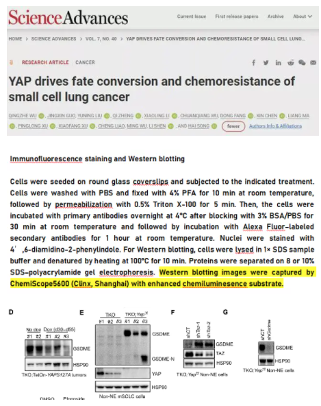 年终盘点|2021那些用勤翔仪器发表过的文献们