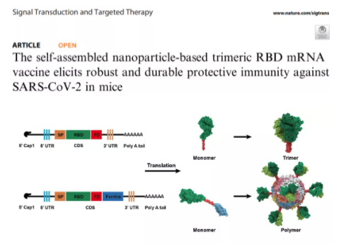 年终盘点|2021那些用勤翔仪器发表过的文献们