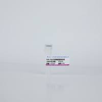 SDS-PAGE浓缩胶蓝色染料（200X 可迁移） P1515