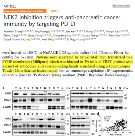 年终盘点|2021那些用勤翔仪器发表过的文献们