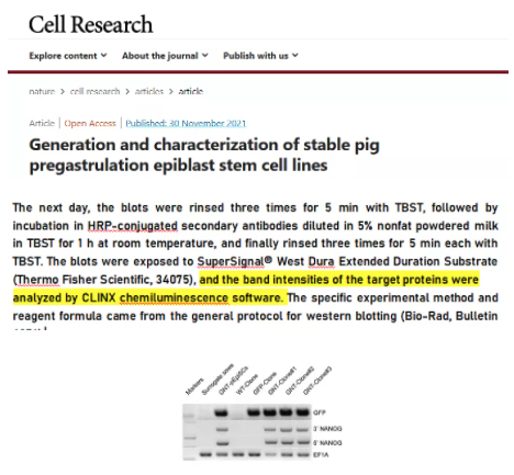 年终盘点|2021那些用勤翔仪器发表过的文献们