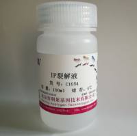 Western 及IP裂解液