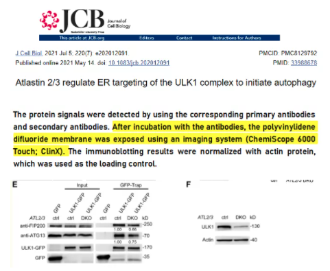 年终盘点|2021那些用勤翔仪器发表过的文献们
