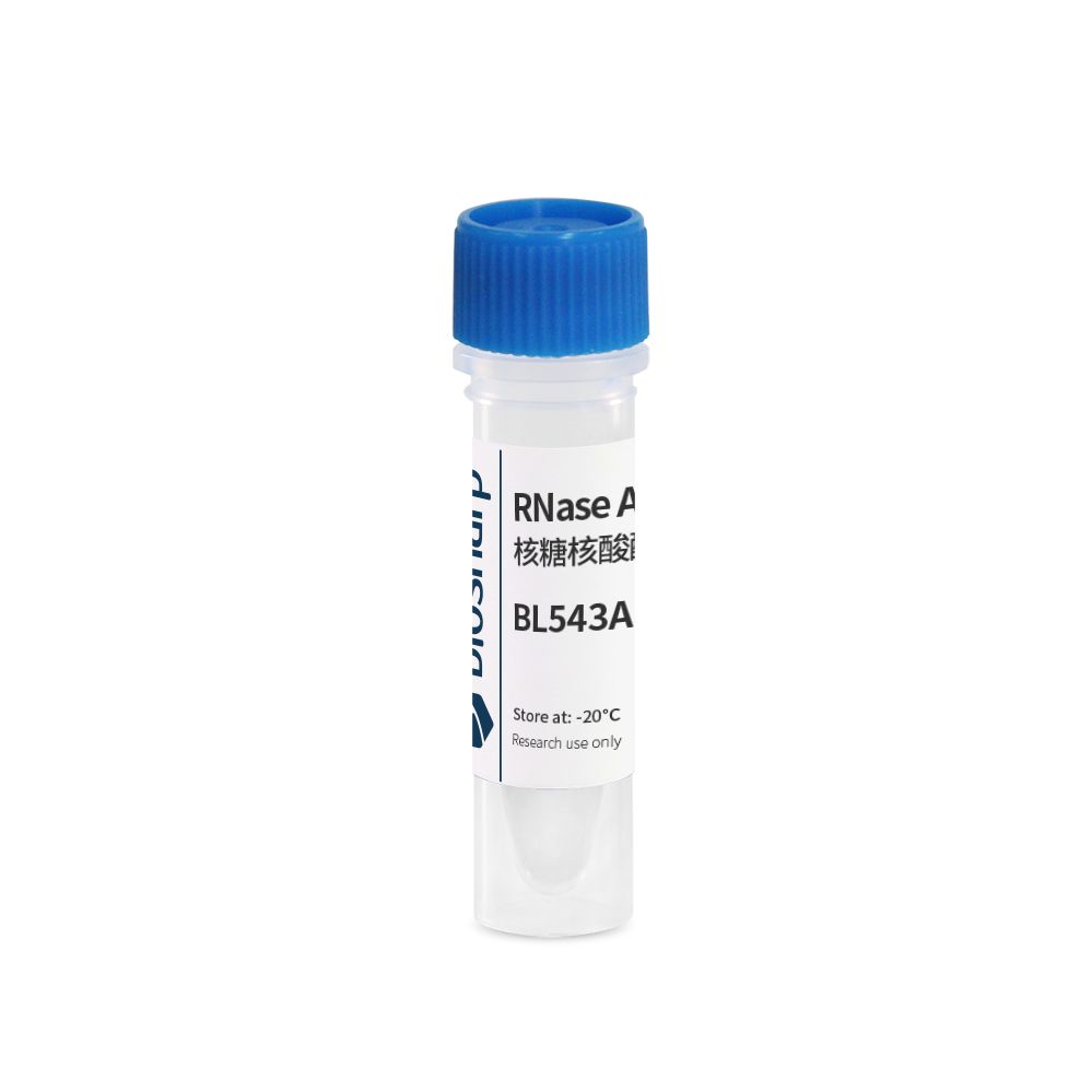 biosharp BL543A RNase A溶液（核糖核酸酶 A,10mg/ml）