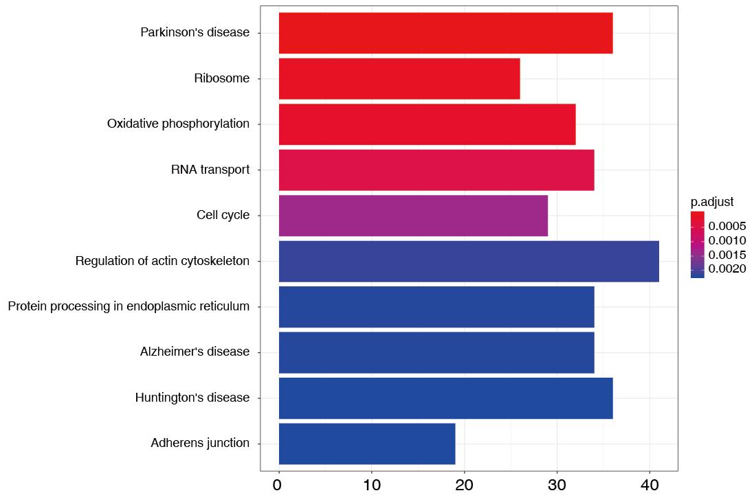 HEBER-seq，开启exRNA液体活检新时代！
